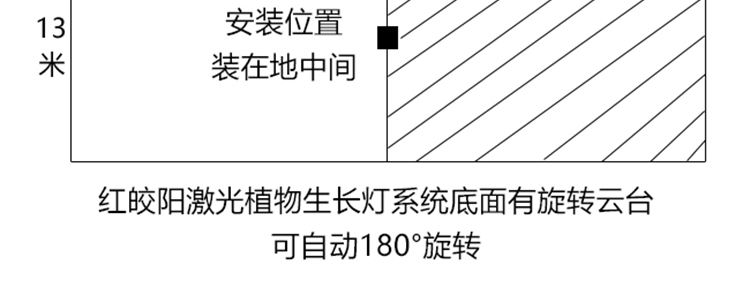 激光植物补光灯大棚补光灯温室种植葡萄油桃仿太阳光的植物灯