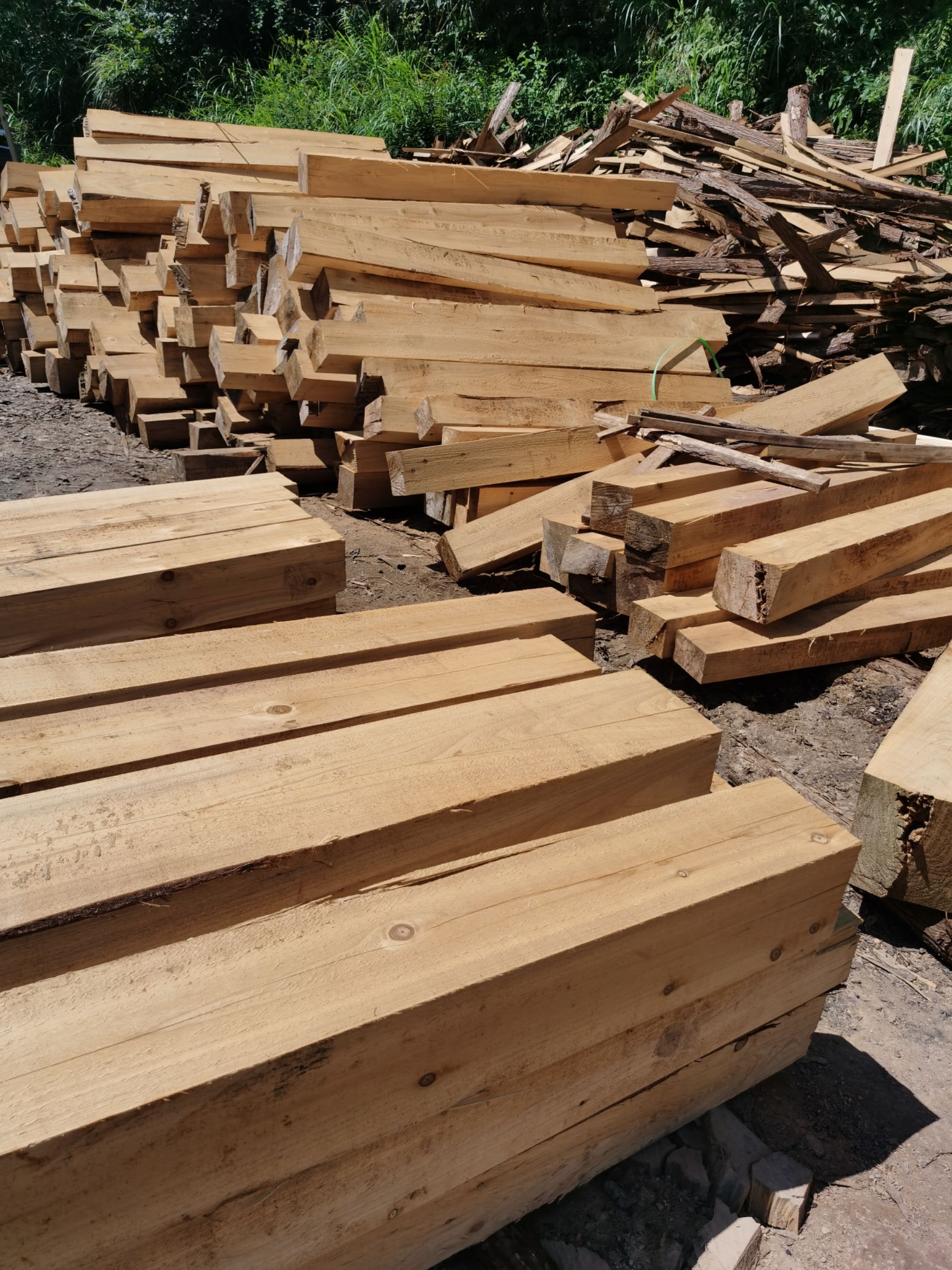 黎平县菜架木 长期批发供应本地香杉原木料 棺木料 杉木兜24公分至32公分