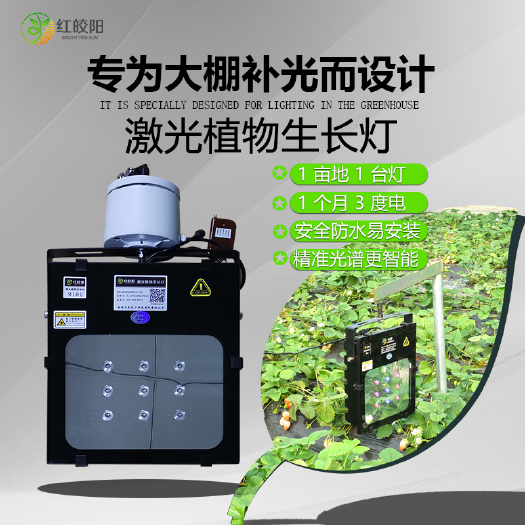 西安植物补光灯大棚种植草莓使用补光灯提升上市口感好
