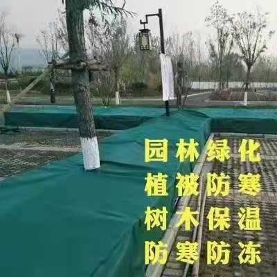 无妨布防草布无纺布  植被防寒布
