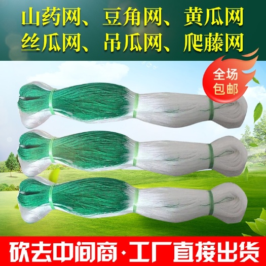 无棣县爬藤网  豆角网荷兰豆芸豆四季豆网长豆角豇豆角黄瓜网苦瓜网丝瓜网细六股