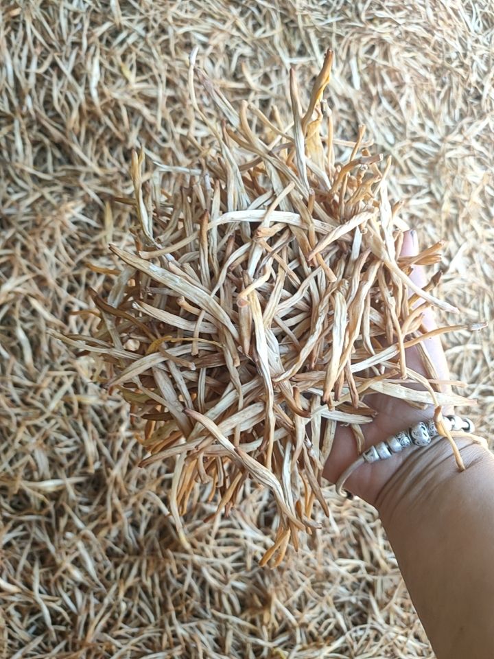 宁夏大白条黄花菜无硫，直条菜产地直销没中间商