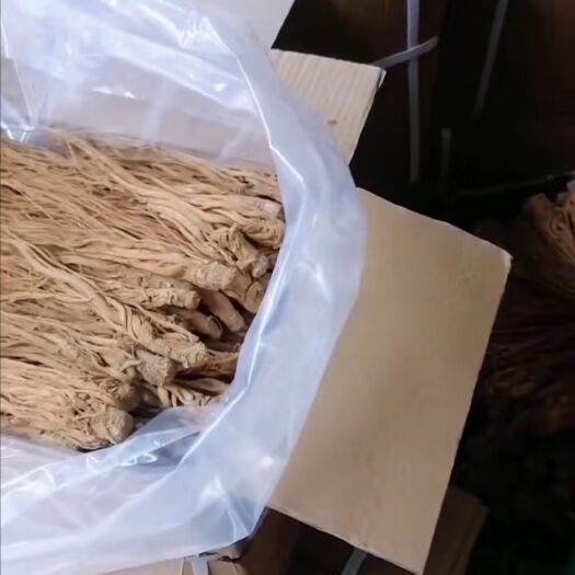 岷县岷当归 岷归无硫