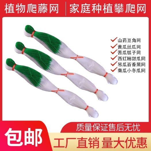 无棣县植物爬藤网山药网芸豆扁豆角网淮山药铁杆山药网荷兰长豆角网