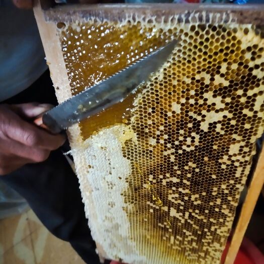 徽县 农家自产土蜂蜜批发