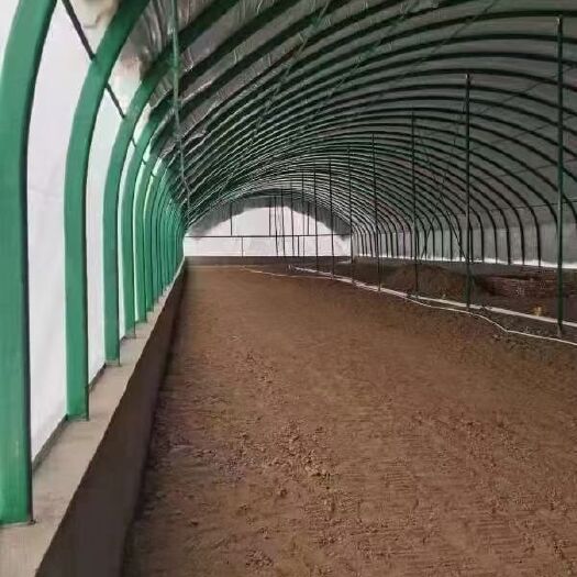 天津大棚管 大棚骨架 种植大棚 养殖大棚