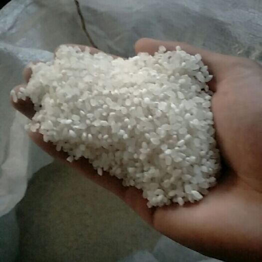永吉县稻花香 吉林万昌大米，水稻