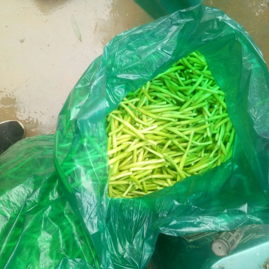 商丘七蕊黄花菜 河南省商丘市睢阳区 