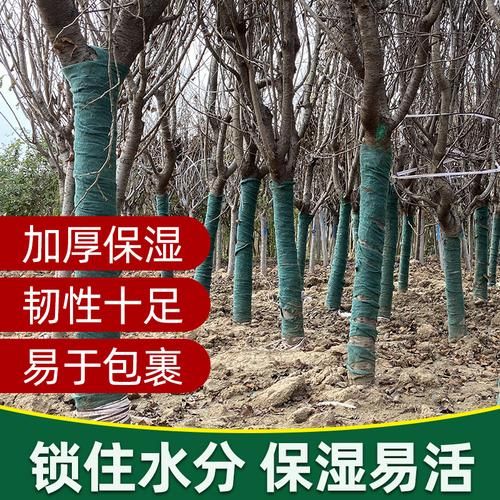 无纺布  裹树布厂家供应裹树布绿化保温布大树保温棉树木保温棉