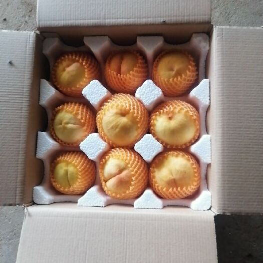 宜城市黄金蜜 黄桃