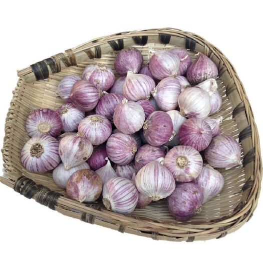 弥渡县云南紫皮独头蒜2025新蒜干蒜批发零售量大从优
包邮  包邮