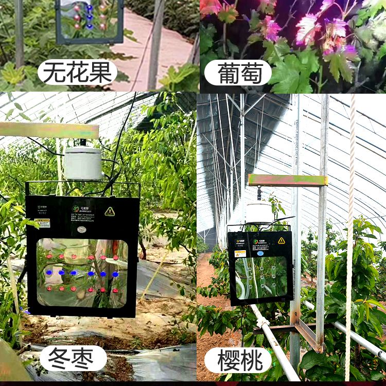 激光植物补光灯大棚补光灯温室种植葡萄油桃仿太阳光的植物灯