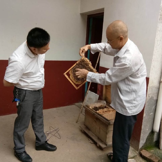 宁乡市禽畜养殖技术  资深畜牧兽医专家,从事动物疫病防治畜牧技术40年单次20元
