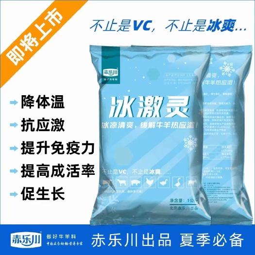 天津营养添加剂  预防各种牛羊应激反应！夏季防中暑补营养