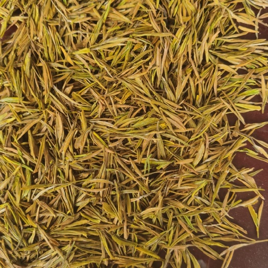 筠连县黄金茶  茶是淡淡的君子它能陪伴在您左右绿茶头采黄金芽口感浓厚