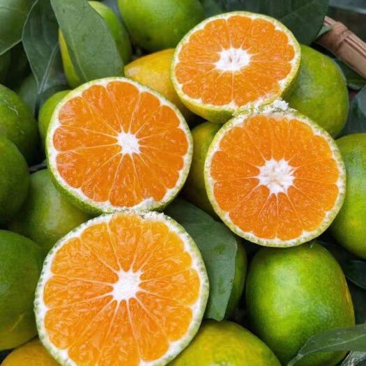 华宁县云南高山蜜橘，蜜桔