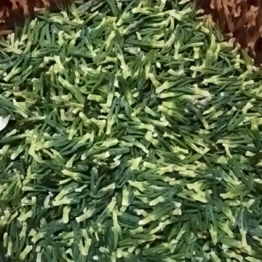南平莲心  莲子心包运费（只卖当季莲子芯）干货莲子芯，莲芯茶