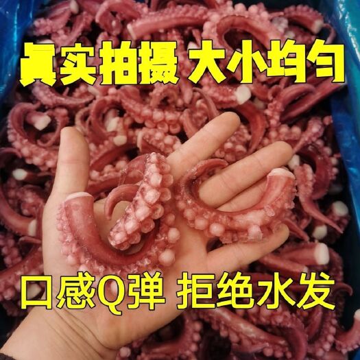 荣成市鱿鱼须 章鱼须尖 鱿鱼 新鲜速冻干冻无冰铁板穿串烧烤食材批
