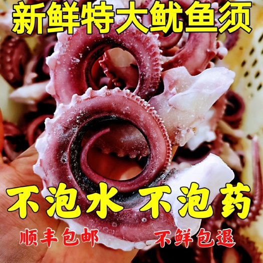 章鱼须 鱿鱼须 大个章鱼须新鲜速冻无冰衣市场烧烤铁板食材批发
