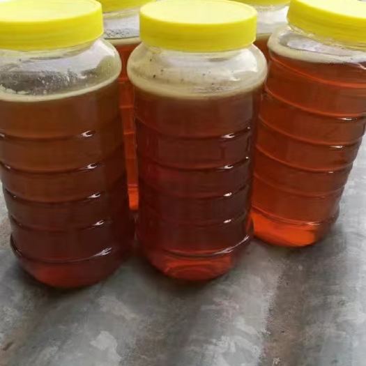 广州 农家土蜂蜜，自养