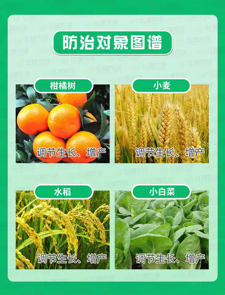 14羟基芸苔素内酯硕丰481解药害保花果花卉果树蔬菜生长调节