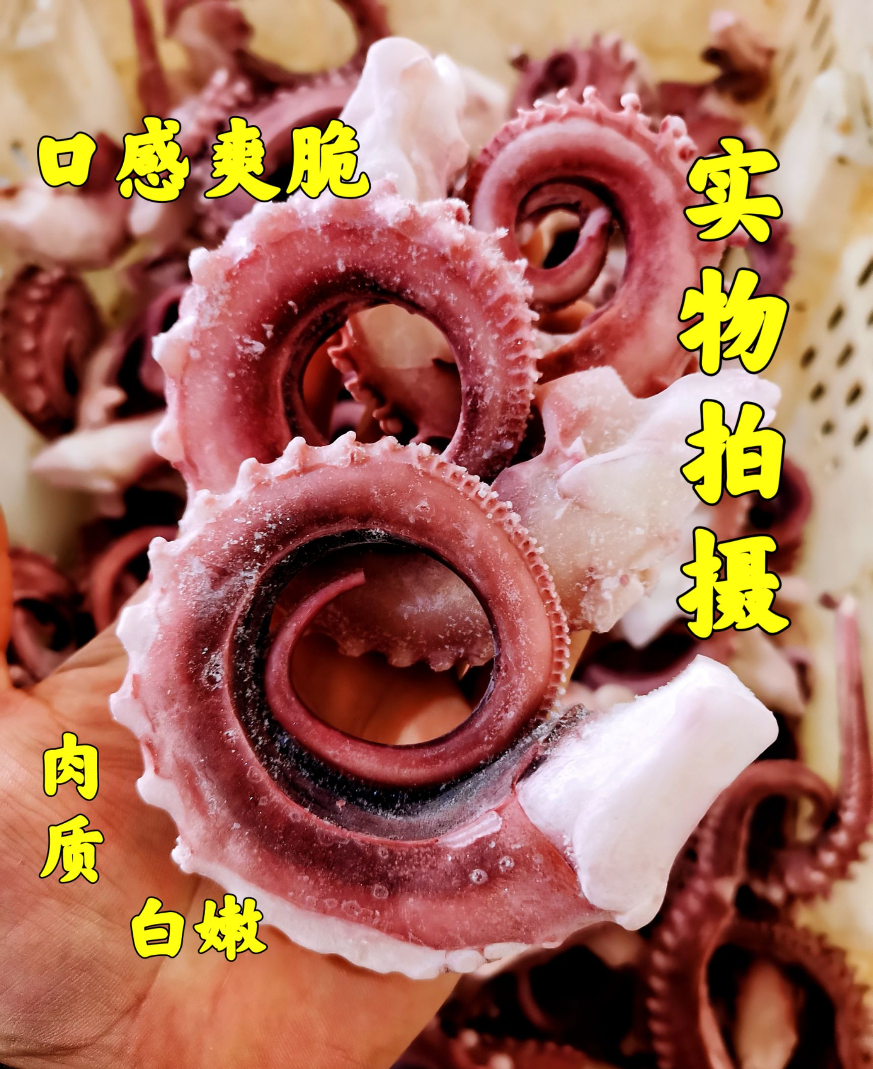 章鱼须 鱿鱼须 大个章鱼须新鲜速冻无冰衣市场烧烤铁板食材批发
