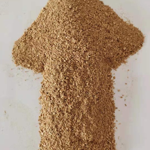 正定县蘑菇废料  合同价出售过筛，粉，金针菇渣，蛋白10，脂肪2