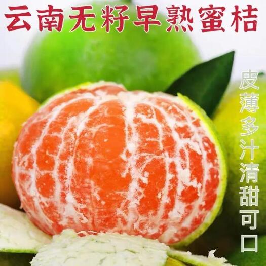 当阳市湖北特早蜜橘基地种植农户一手货源皮薄汁甜入口化渣无籽