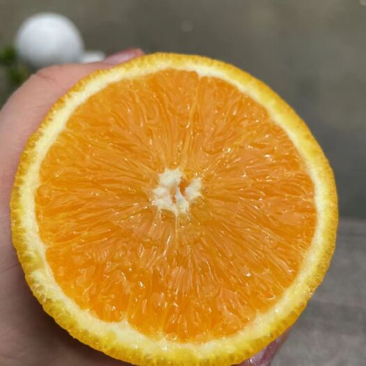 上海新鲜橙子埃及橙南非橙整箱30斤