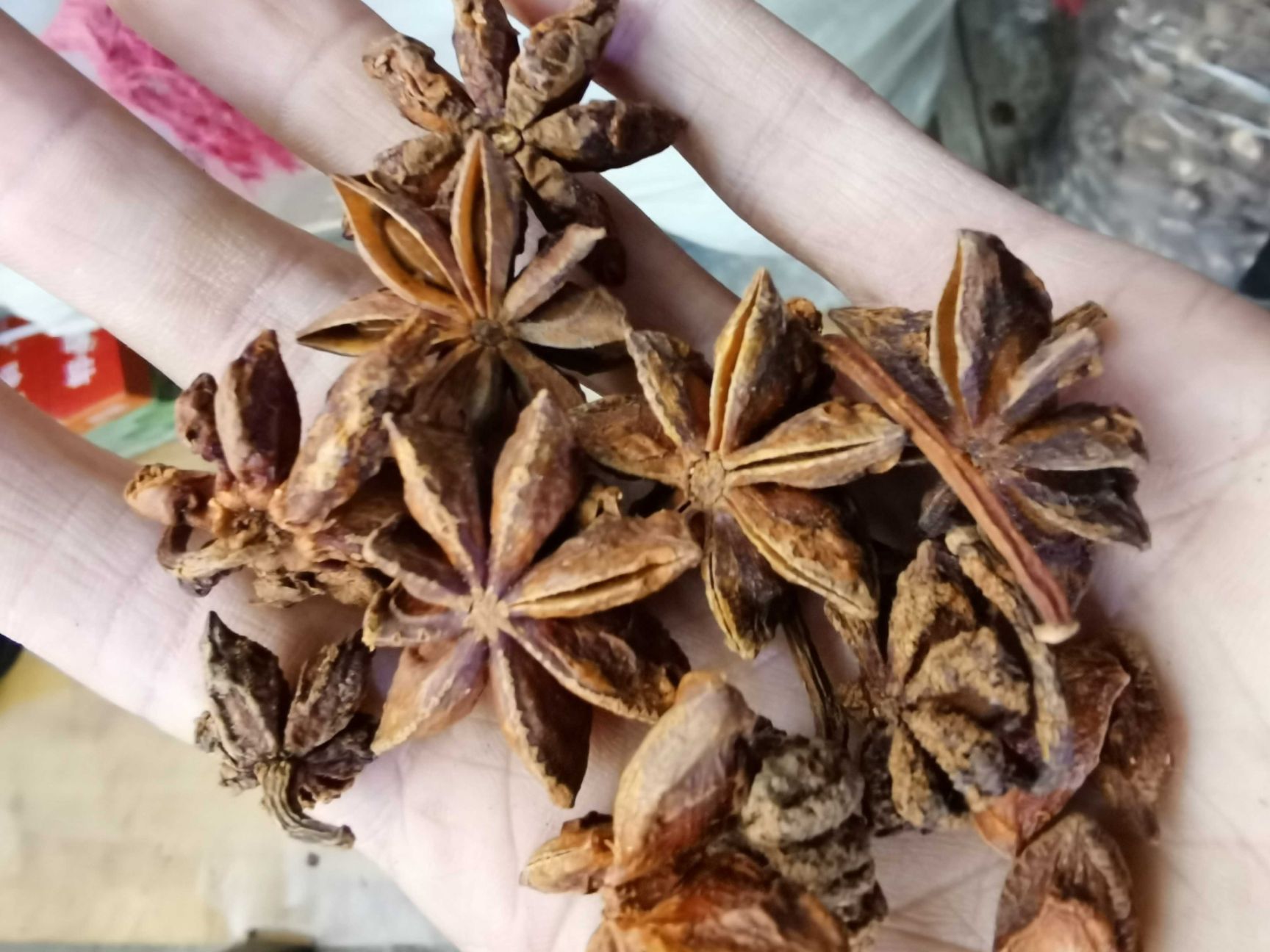 大红八角  精品无硫八角