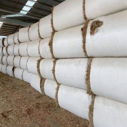 泗县稻草  粉丝揉丝小麦秸秆  压块30kg一包 保质保量 装的上吨位