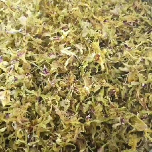 文山市石斛花铁皮石斛花解郁石斛花养颜补水石斛花