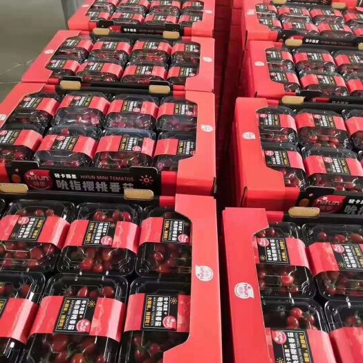 平度市正宗釜山88圣女果  玲珑小番茄 鸿运99