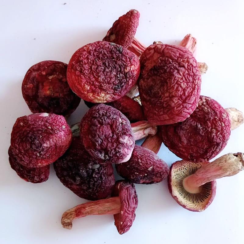  野生红菇 云南大山 干货鲜货都有