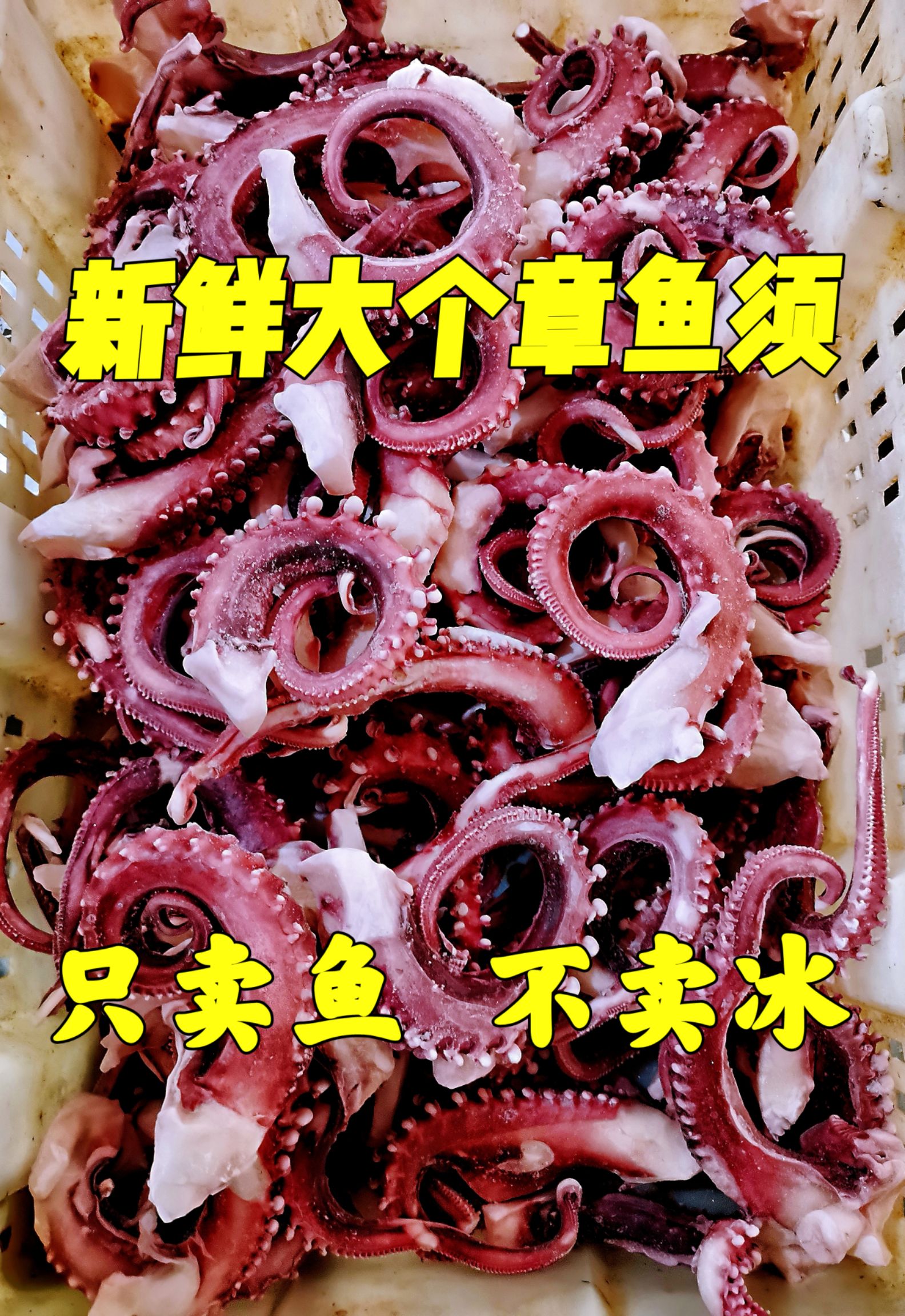 章鱼须 鱿鱼须 大个章鱼须新鲜速冻无冰衣市场烧烤铁板食材批发