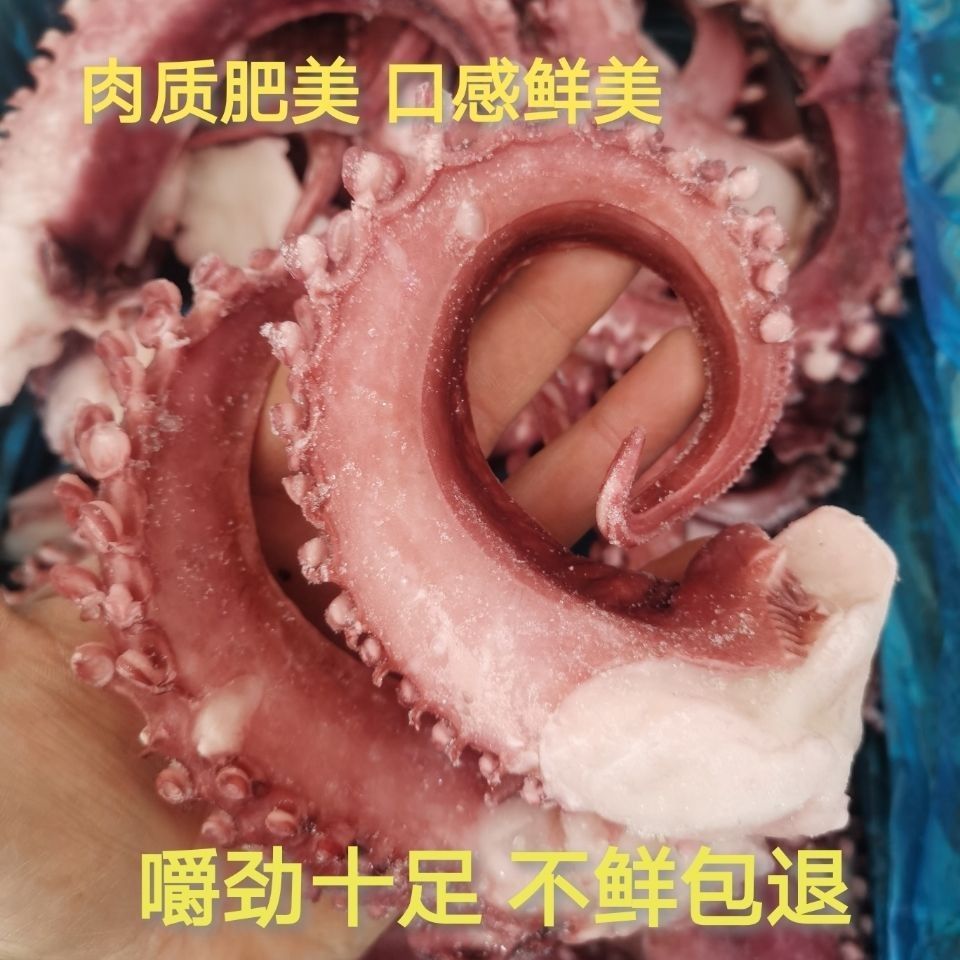 章鱼须 鱿鱼须 大个章鱼须新鲜速冻无冰衣市场烧烤铁板食材批发