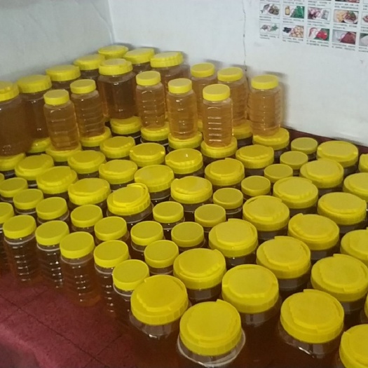 伊春椴树蜜  椴树蜂蜜，百花蜜，小兴安岭深山定地饲养。