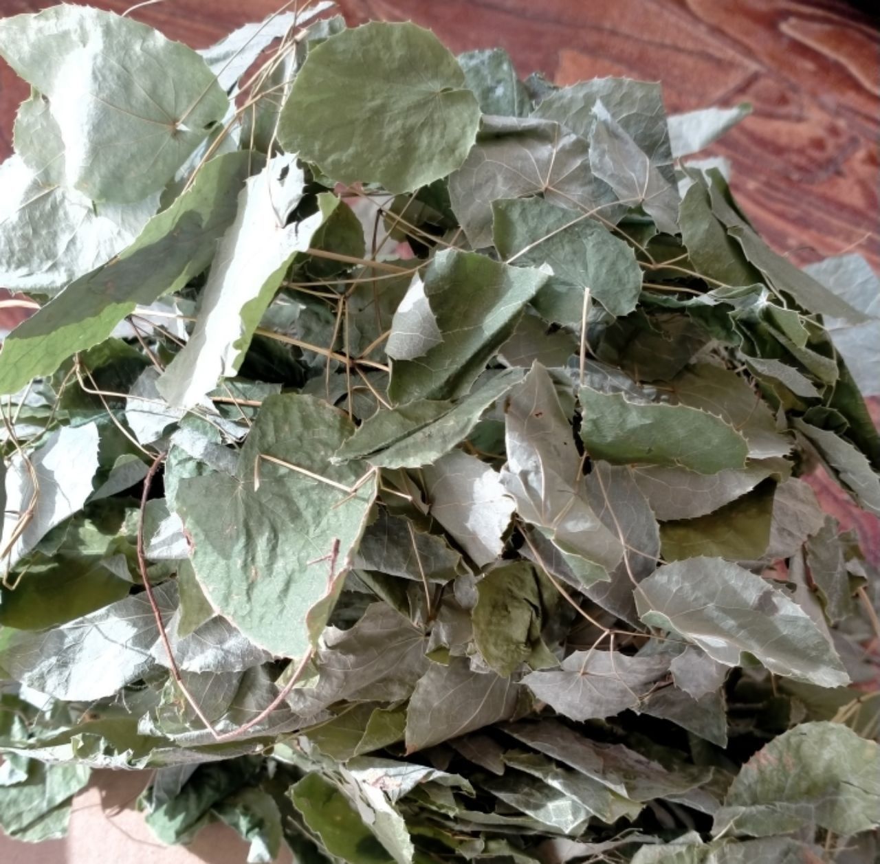 小叶淫羊霍  甘肃岷县高品质小圆叶淫羊藿精选全干无硫新货（无碎叶）