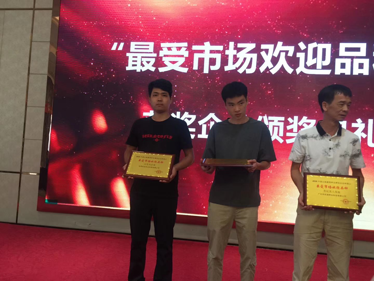 以色列西红柿种子，西红柿种子，红果番茄种子