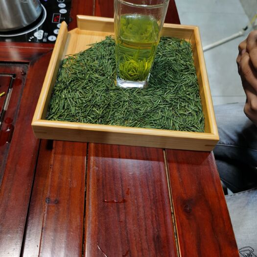 筠连县雀舌茶  高山竹叶青