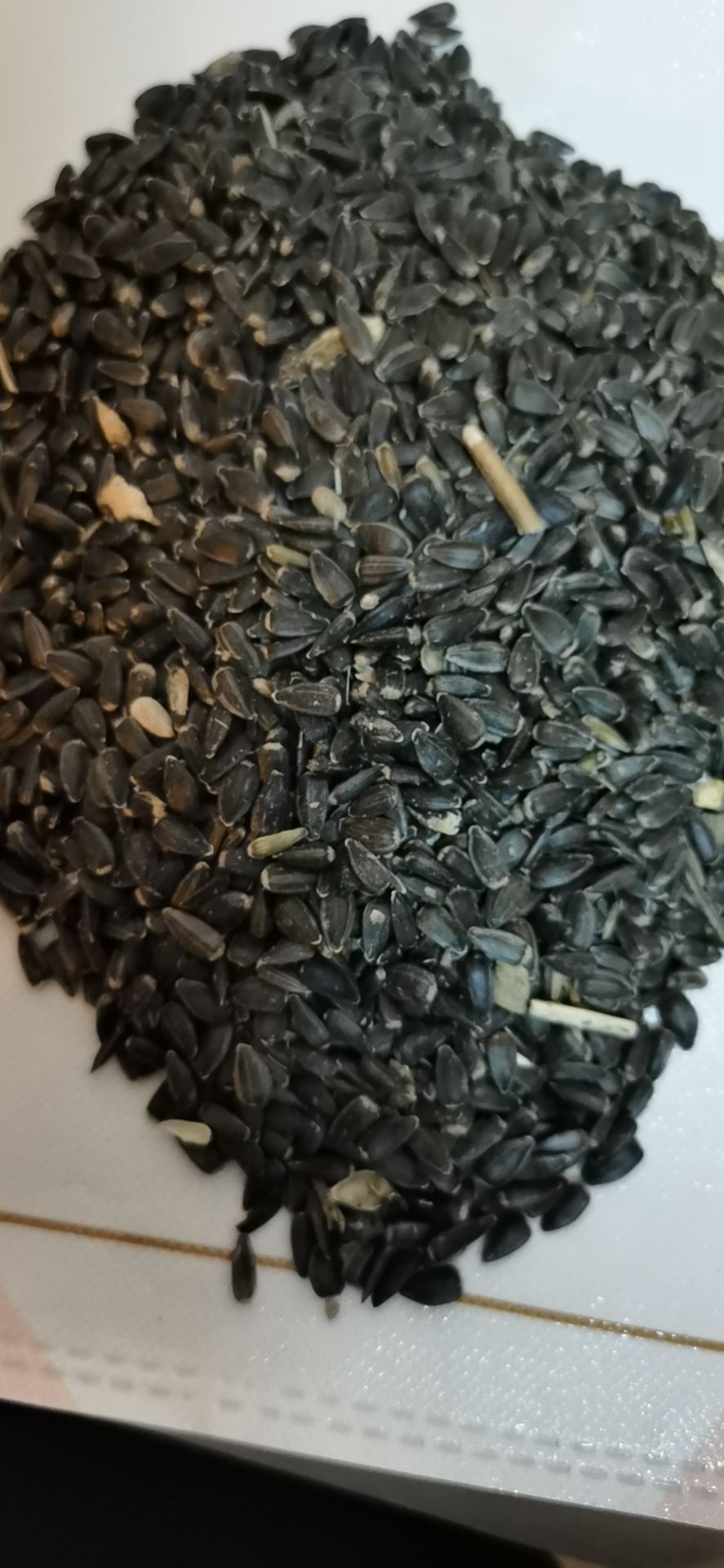 葵瓜子 俄罗斯葵花籽出油45，价格优惠随时调用