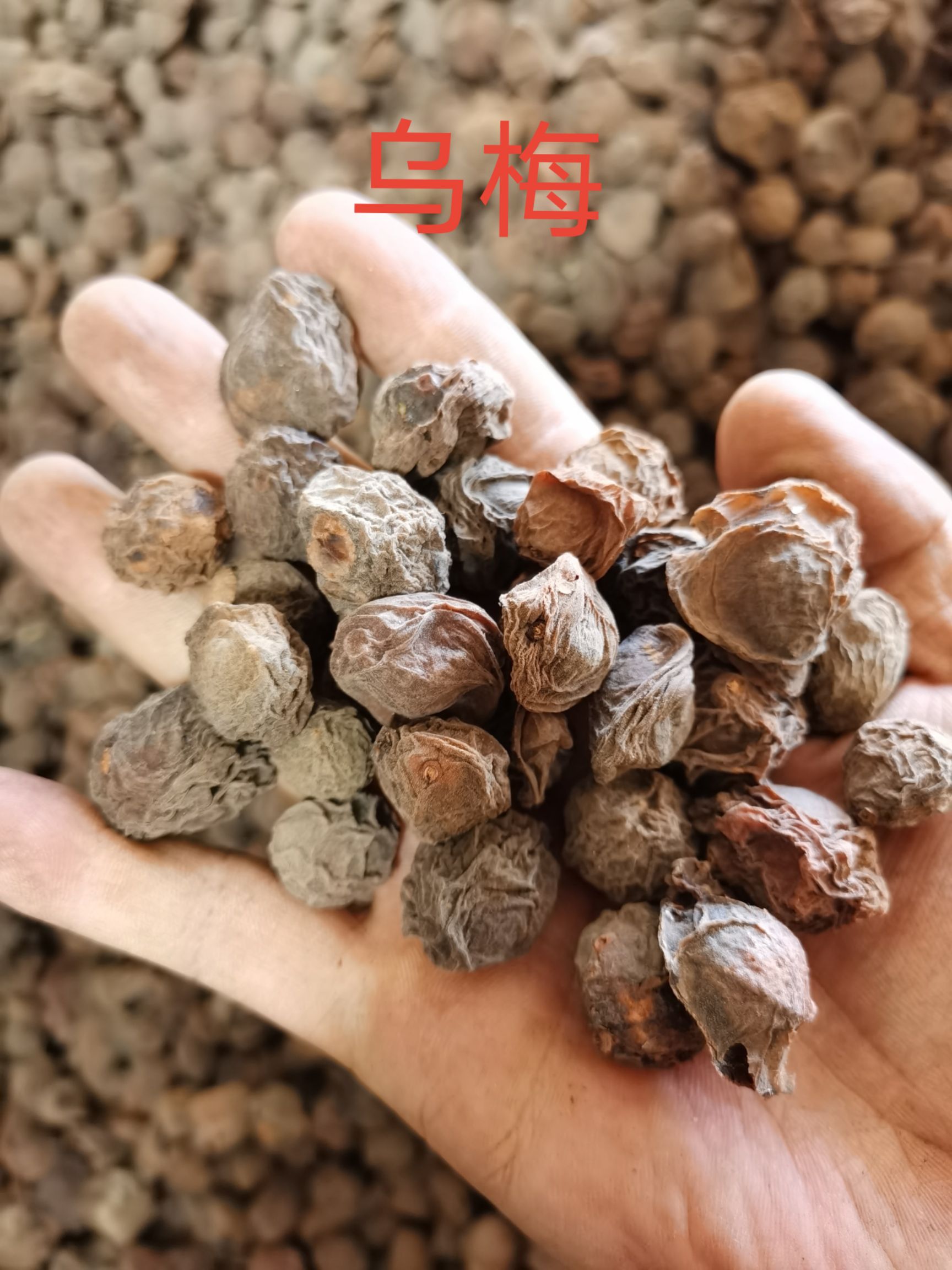  乌梅
