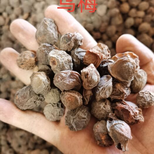 大理市 乌梅