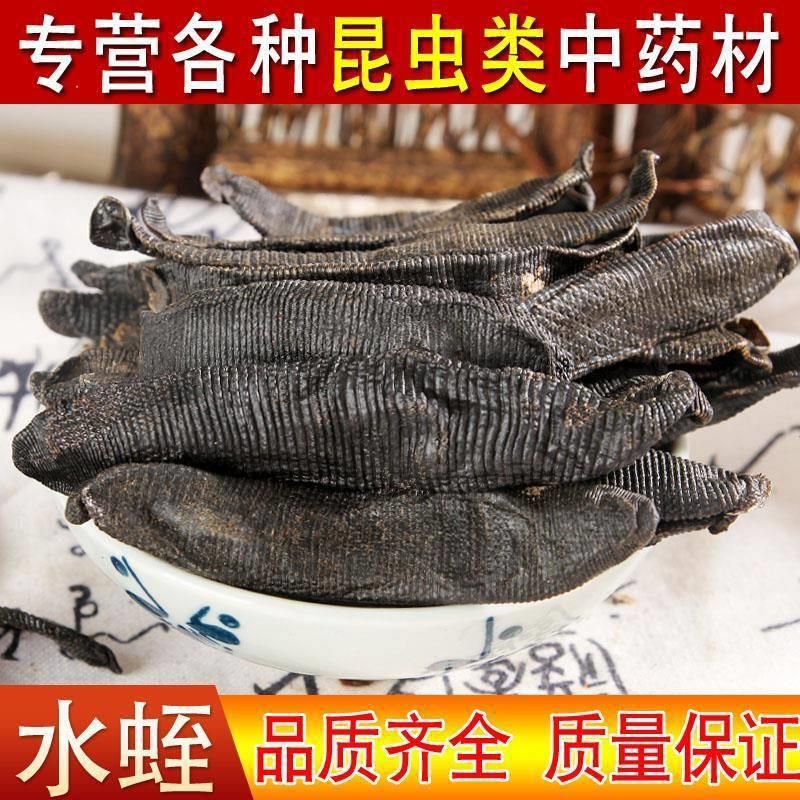 水蛭干  水蛭 中药材菲水蛭 吸血蚂蝗 清水水蛭粉菲牛蛭