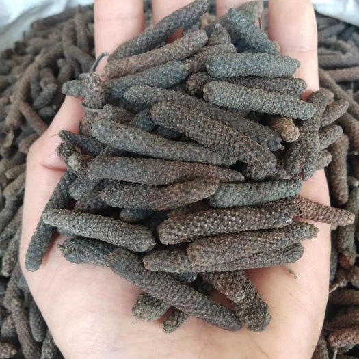 荜茇  荜拨 毕卜 小荜拨 大荜拨各种香辛料批发中药材大全
