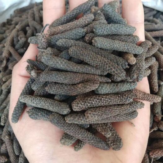 亳州荜茇  荜拨 毕卜 小荜拨 大荜拨各种香辛料批发中药材大全