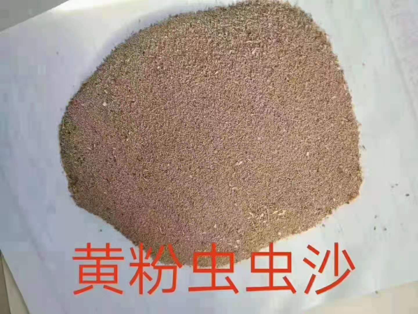 黄虫虫沙虫粪大量出售黄粉虫虫沙