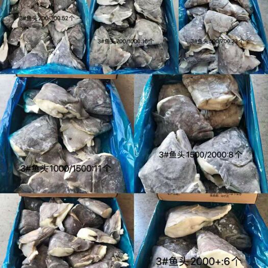 济南舌头鱼 碟鱼头