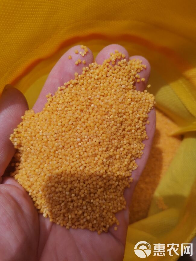 黄小米  山西沁州黄真空米砖礼品袋装石碾小米