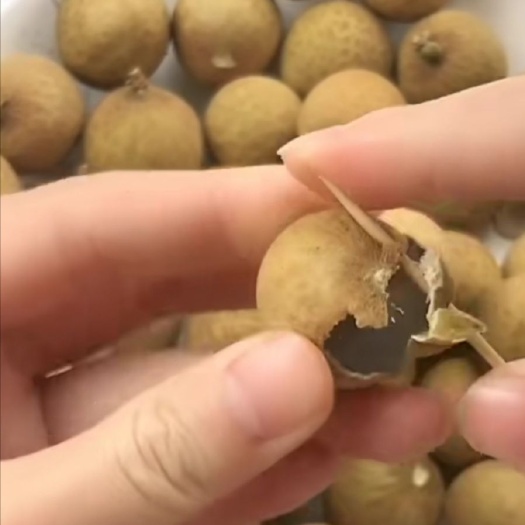 芜湖龙眼  产地代办质量保证 安徽芜湖 周边快速发货 更新鲜 价格更实惠